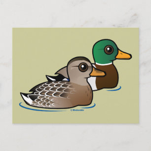 Postal Mallard Pair