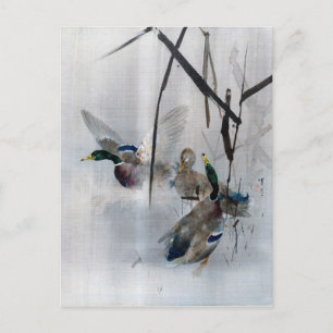 Postal Mallards and Reeds, Watanabe Seitei
