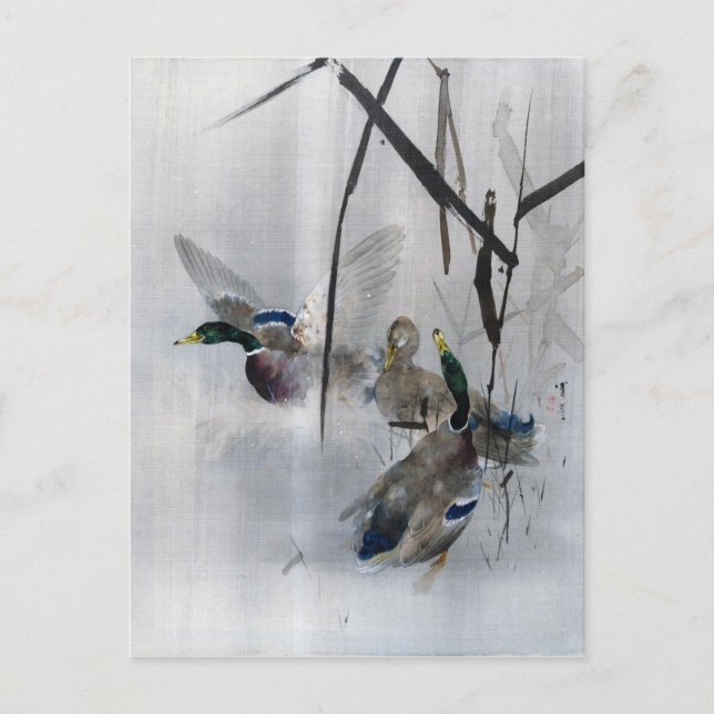Postal Mallards and Reeds, Watanabe Seitei (Anverso)