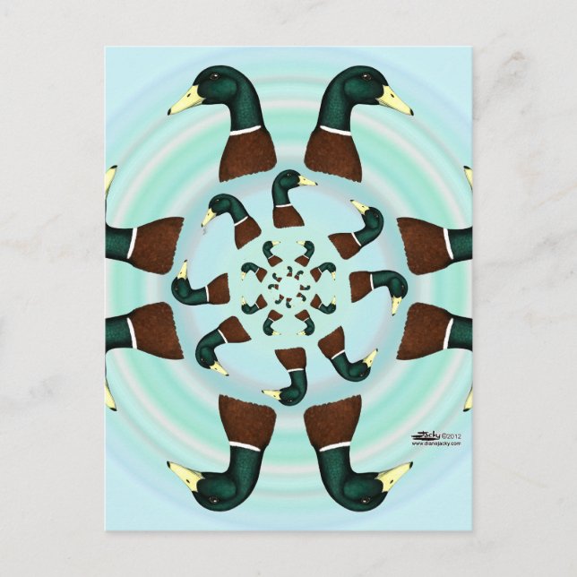 Postal ¡Mallards Galore! (Anverso)