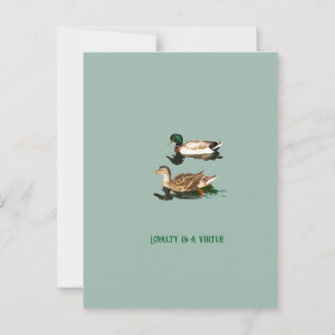 Postal Mallas de los Ducks