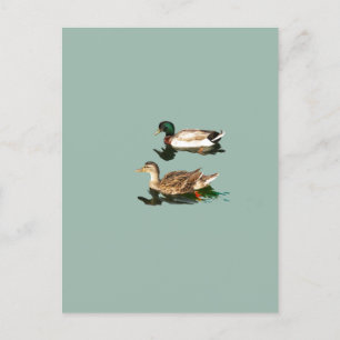 Postal Mallas de los Ducks