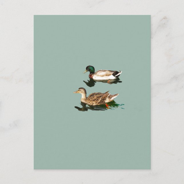 Postal Mallas de los Ducks (Anverso)