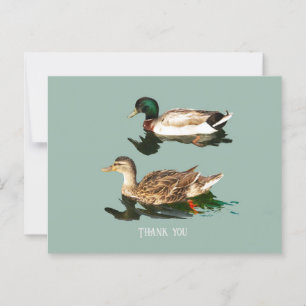 Postal Mallas de los Ducks
