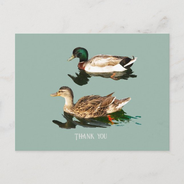Postal Mallas de los Ducks (Anverso)