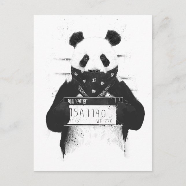 Postal Malo panda (Anverso)