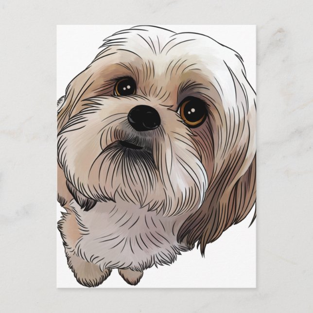 Postal Malshi Mal-shi (Anverso)