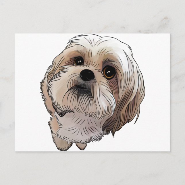 Postal Malshi Mal-shi (Anverso)