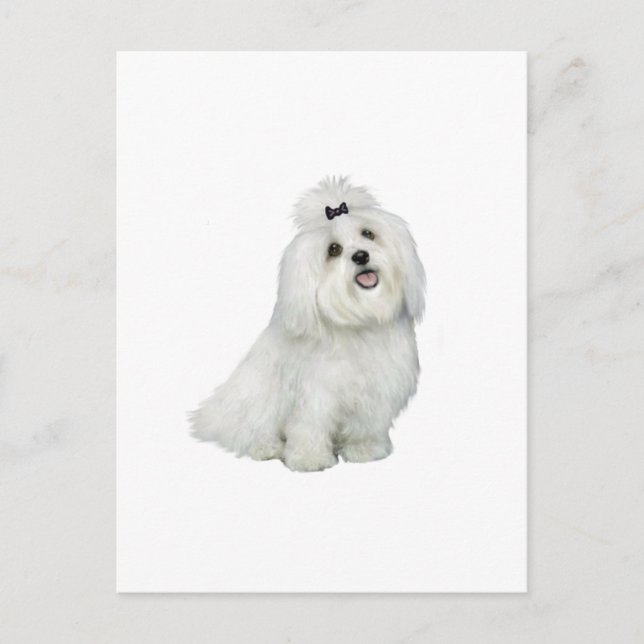 Postal Maltés (A) - con puntas superiores (Anverso)