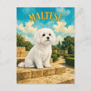 Postal Maltés, Arte de Perro con Acuarela Vintage