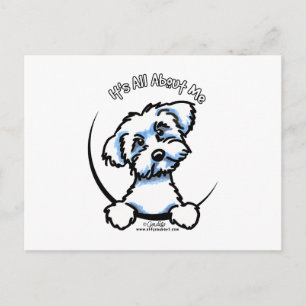 Postal Maltés Todo Sobre Mí