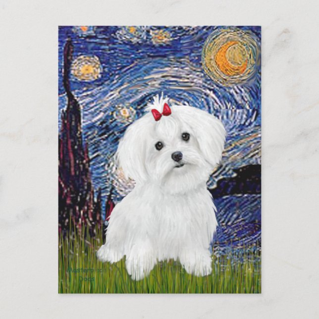Postal Maltese 8 cachorros - Noche estrellada (Anverso)