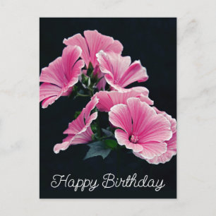Postal Malva Flor de Malva Rosa Elegante