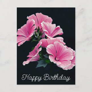 Postal Malva Flor de Malva Rosa Elegante