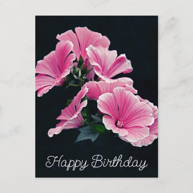 Postal Malva Flor de Malva Rosa Elegante (Anverso)