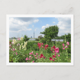 Postal Malvarrosas: río Arakawa, Tokio