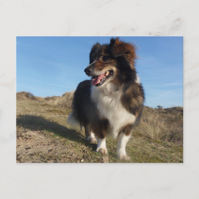 Postal Mamá (Anverso)