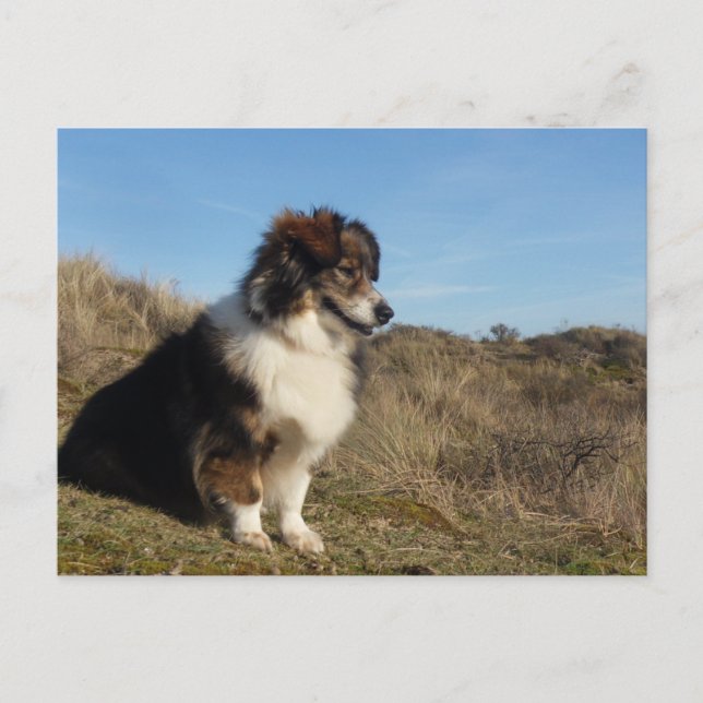 Postal Mamá (Anverso)