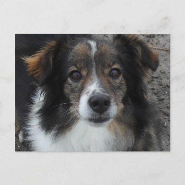 Postal Mamá (Anverso)