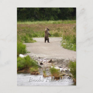 Postal ¡Mamá! Brooks Falls Alaska