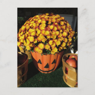 Postal Mamá de calabaza