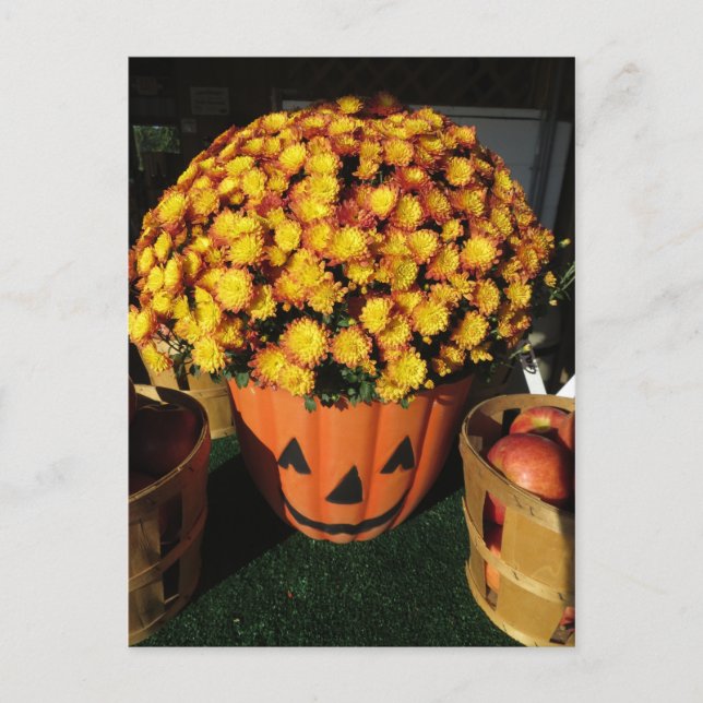 Postal Mamá de calabaza (Anverso)