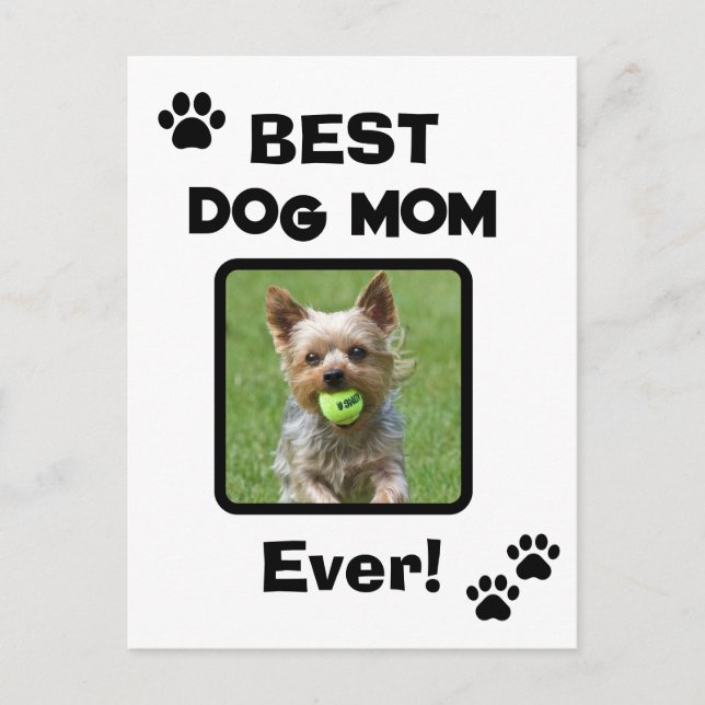 Postal Mamá de Perro y Gato más Linda Personalizable (Anverso)