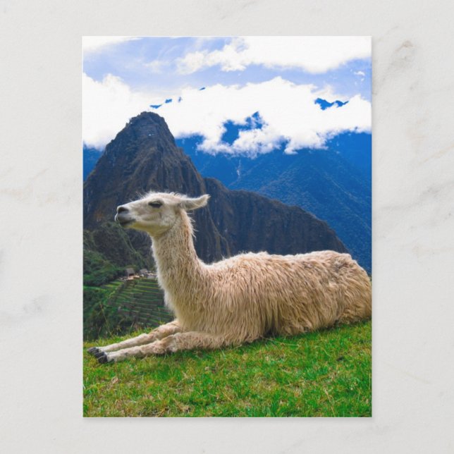 Postal Mama en Machu Picchu (Anverso)