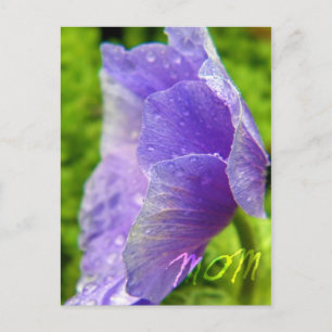 Postal Mamá Flor