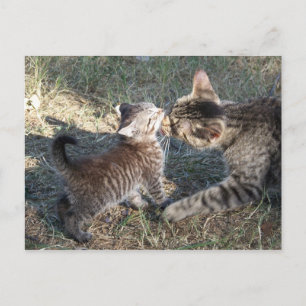 Postal Mamá limpia a bebé