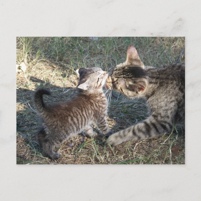 Postal Mamá limpia a bebé (Anverso)