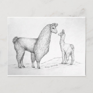 Postal Mama Llama y Cria