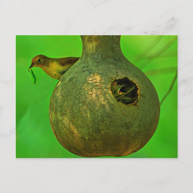 Postal mamá sé que estás aquí (Anverso)