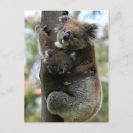 Postal Mama y Baby Koala