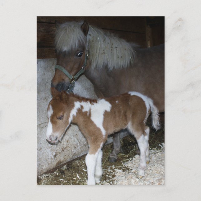 Postal Mamá y bebé (Anverso)