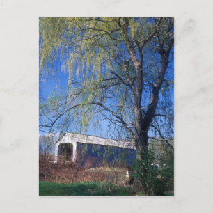 Postal Mamáes de Berkshires del puente superior cubierto