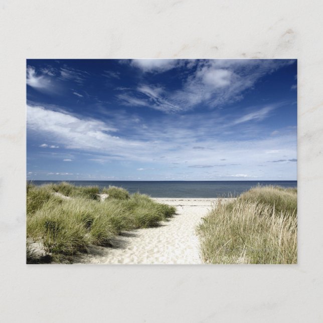 Postal Mamáes de la playa y la flota de petróleo (Anverso)