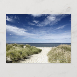 Postal Mamáes de la playa y la flota de petróleo