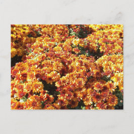 Postal Mamáes de otoño