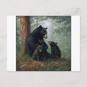 Postal Mami Bear