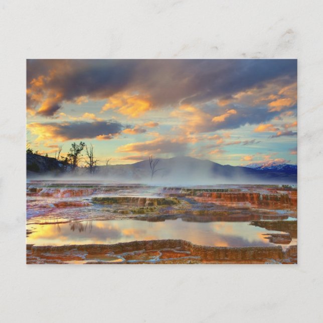 Postal Mammoth Hot Springs (Anverso)
