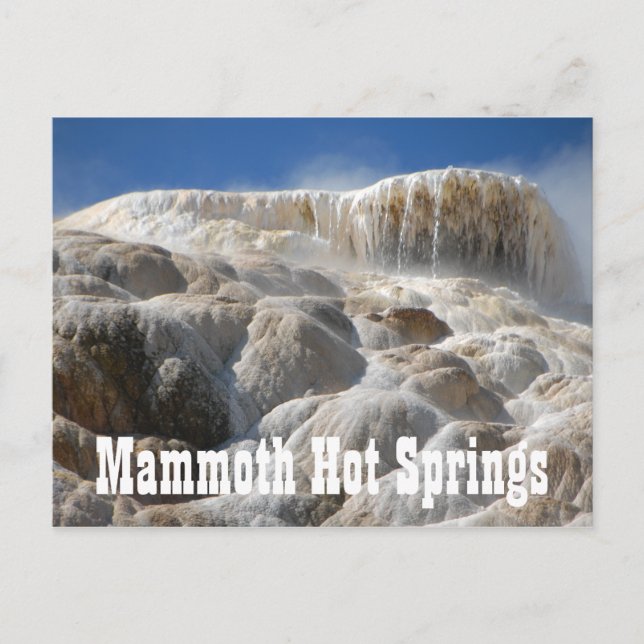 Postal Mammoth Hot Springs, Parque Nacional Yellowstone (Anverso)