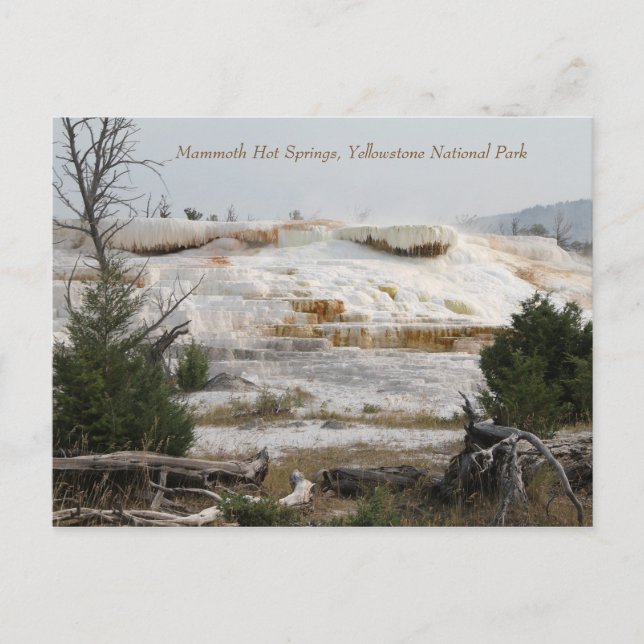 Postal Mammoth Hot Springs, Parque Nacional Yellowstone (Anverso)