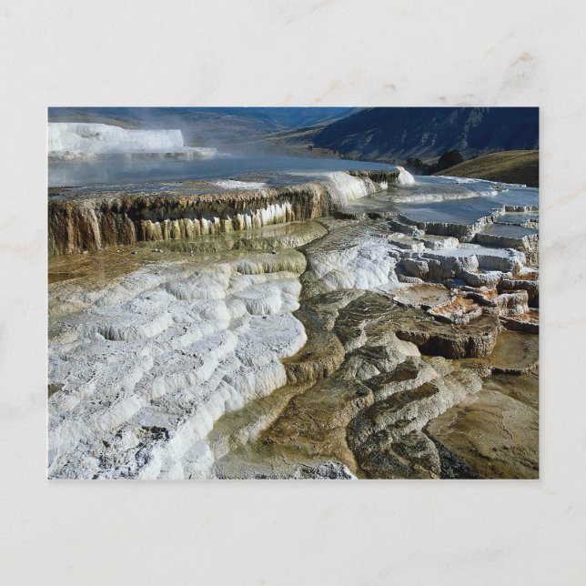 Postal Mammoth Hot Springs, Parque Nacional Yellowstone,  (Anverso)