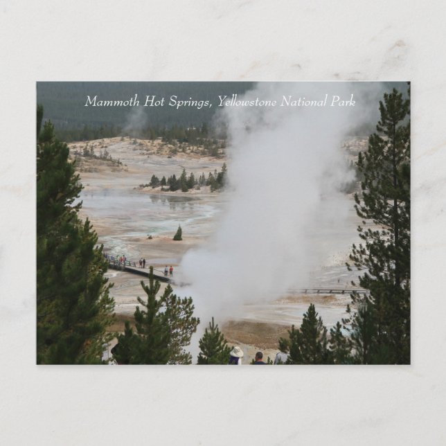 Postal Mammoth Hot Springs, Parque Nacional Yellowstone (Anverso)