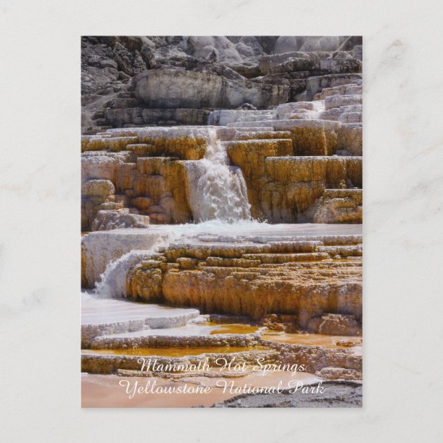 Postal Mammoth Springs Falls (Anverso)