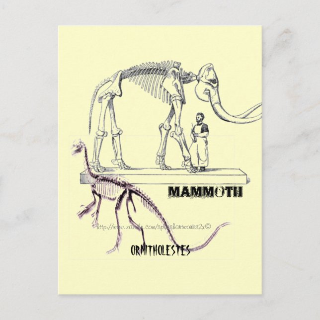 Postal "Mamut" (Anverso)