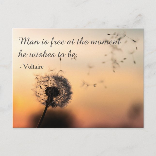 Postal Man is Free Voltaire Quote (Anverso)