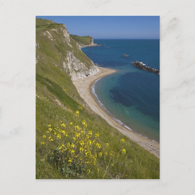 Postal Man of War Bay, Jurassic Coast, Lulworth, Dorset, (Anverso)
