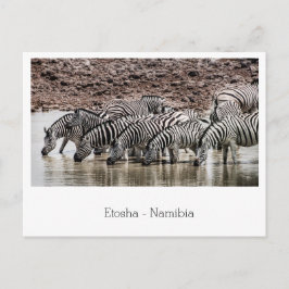 Postal Manada de cebra por agujero de agua en Etosha, Nam